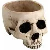 Antike Totenkopf Schale 470ml -Outlet-Horror-Shop antike totenkopf schale antike totenschaedelschale antic skull bowl 51433 01