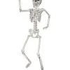 Bewegliches Kunststoff Skelett 60cm 2 Bewegliches Kunststoff Skelett 60cm -Outlet-Horror-Shop bewegliches kunststoff skelett 60cm halloween skeleton 38396