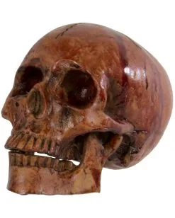 Blutiger Totenkopf Mit Beweglichem Kiefer