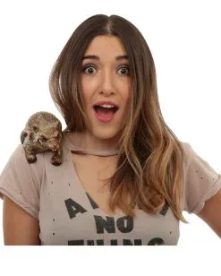 Braune Ratte Als Schulter-Clip