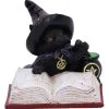 Familiar's Brew Katzenfigur Mit Hexenkessel 8,5cm 1 Familiar's Brew Katzenfigur Mit Hexenkessel 8,5cm -Outlet-Horror-Shop familiars brew katzenfigur mit hexenkessel familiars brew black cat figurine 54624 01