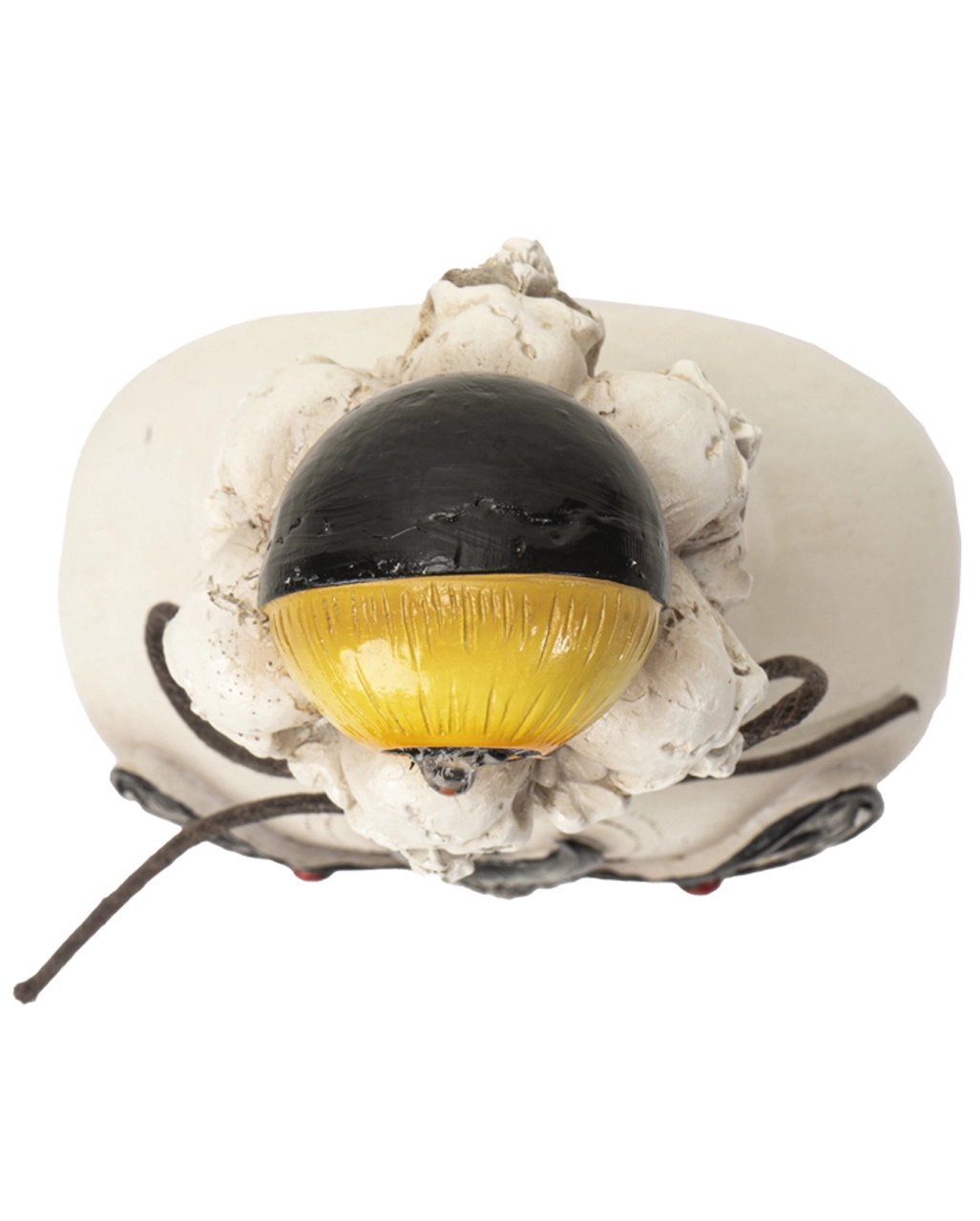 Giftflasche Mit Totenkopf Schwärmer & Augapfel 25cm 5 Giftflasche Mit Totenkopf Schwärmer & Augapfel 25cm – Bild 3