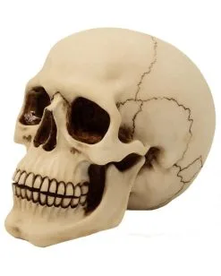 Graveyard Totenkopf Large