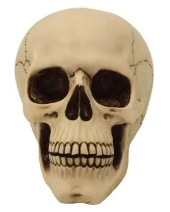 Graveyard Totenkopf Large -Outlet-Horror-Shop graveyard totenkopf large graveyard totenschaedel graveyard skull large gothic deko 52351 02