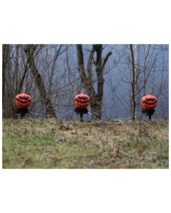 Halloween Kürbis Mit Erdspieß 3er-Set -Outlet-Horror-Shop halloween kuerbis erdspiess 3er set halloween und horror aussendeko halloween pumpkin led decoration 53954 5