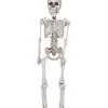 Skelett Hängefigur 30 Cm 2 Skelett Hängefigur 30 Cm -Outlet-Horror-Shop klappriges skelett haengefigur plastic skeleton halloween decoration halloween partyzubehoer 35967 01