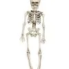 Mini Skelett Hängefigur 40cm -Outlet-Horror-Shop mini skelett torso haengefigur 40cm plastic skeleton halloween decoration halloween partyzubehoer 35972