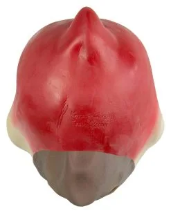 Papagei Maske Polly -Outlet-Horror-Shop papagei maske polly comic vogel maske papagei verkleidung kostuemzubehoer 17741 3