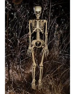 Positionierbares Knochenskelett 90cm 7 Positionierbares Knochenskelett 90cm -Outlet-Horror-Shop positionierbares knochenskelett halloween deko skelett mit beweglichen gelenken halloween und horror deko 52003 2