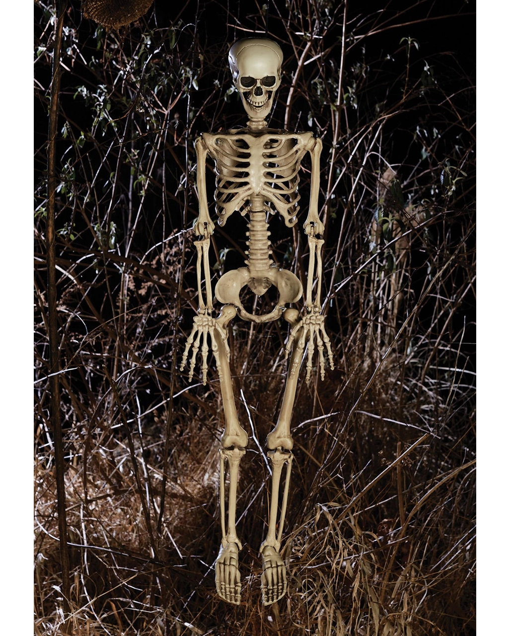 Positionierbares Knochenskelett 90cm 5 Positionierbares Knochenskelett 90cm – Bild 3