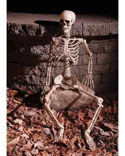 Positionierbares Knochenskelett 90cm 6 Positionierbares Knochenskelett 90cm -Outlet-Horror-Shop positionierbares knochenskelett halloween deko skelett mit beweglichen gelenken halloween und horror deko 52003