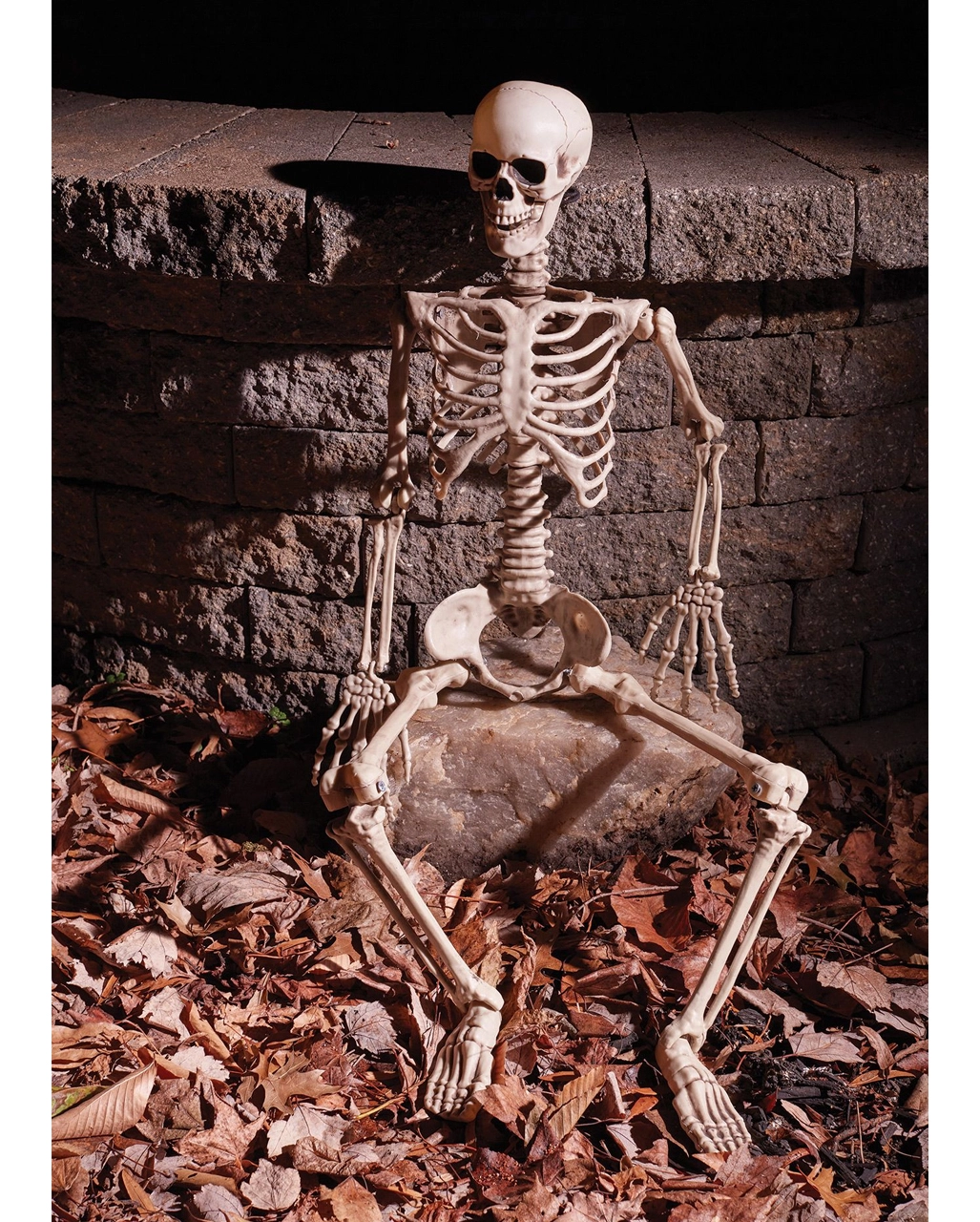 Positionierbares Knochenskelett 90cm 4 Positionierbares Knochenskelett 90cm – Bild 2