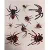 Realistische Spinnen Aufklebe Tattoo 1 Realistische Spinnen Aufklebe Tattoo -Outlet-Horror-Shop realistische halloween spinnen aufklebe tattoo halloween spide temporary tattoos 51785