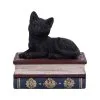 Schwarze Katze Auf Zauberbücher Box 11,7cm -Outlet-Horror-Shop schwarze katze auf zauberbuecherbox black salems cat on spellbook box halloween tischdekoration 50947 01