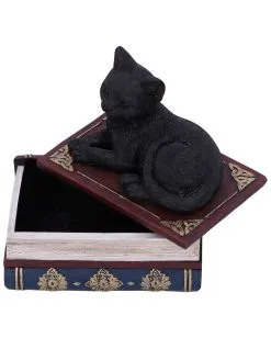 Schwarze Katze Auf Zauberbücher Box 11,7cm -Outlet-Horror-Shop schwarze katze auf zauberbuecherbox black salems cat on spellbook box halloween tischdekoration 50947 05