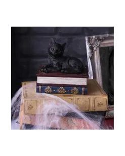 Schwarze Katze Auf Zauberbücher Box 11,7cm -Outlet-Horror-Shop schwarze katze auf zauberbuecherbox black salems cat on spellbook box halloween tischdekoration 50947 07