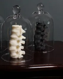 Schwarze Wirbelsäulenkerze 13cm 7 Schwarze Wirbelsäulenkerze 13cm -Outlet-Horror-Shop schwarze wirbelsaeulenkerze black spine candle gothic homeware gothic deko gothic kerze 54859 03