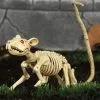 Skelett Ratte 20cm -Outlet-Horror-Shop skelett ratte 20cm ungeziefer dekoration knochengerippe halloween deko skeleton rat 35974