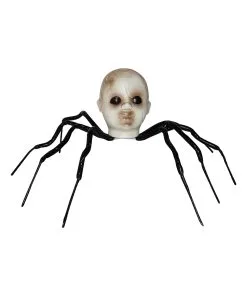 Spinne Mit Babykopf 60cm
