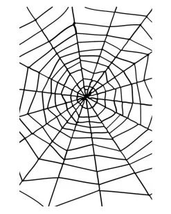 Spinnennetz Mit Spinne