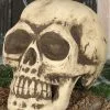 Totenkopf 32cm -Outlet-Horror-Shop totenkopf 32cm totenschaedel halloween dekoration skull decoration 35978