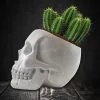 Totenkopf Pflanzset Mit Kaktus Samen -Outlet-Horror-Shop totenkopfpflanzset mit kaktus skull plant set with cactus gothic homeware 53481 01