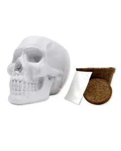 Totenkopf Pflanzset Mit Kaktus Samen 6 Totenkopf Pflanzset Mit Kaktus Samen -Outlet-Horror-Shop totenkopfpflanzset mit kaktus skull plant set with cactus gothic homeware 53481 02
