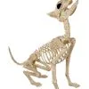 Werwolf Skelett 70cm 2 Werwolf Skelett 70cm -Outlet-Horror-Shop werwolf skelett werwolf skeleton halloween skelett halloween deko 52649 01